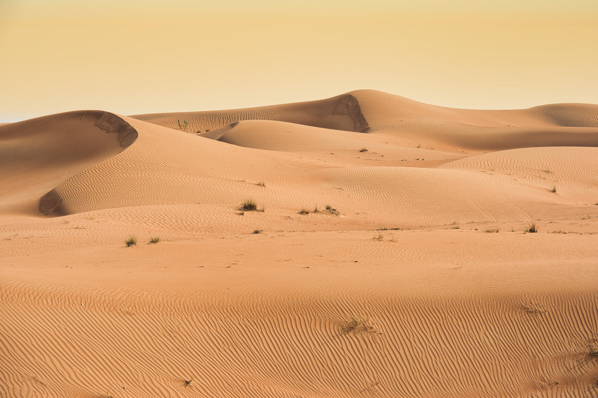 Sand dunes at golden hour in the Dubai desert